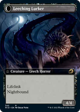 (345)■拡張アート■《ヒルの呪い/Curse of Leeches》/《血吸いの闇潜み/Leeching Lurker》[MID-BF] 黒R