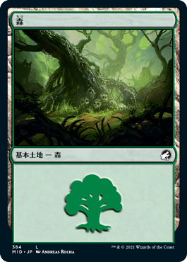 (384)《森/Forest》[MID] 土地