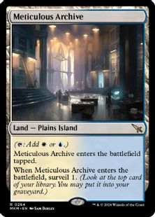 (264)《行き届いた書庫/Meticulous Archive》[MKM] 土地R