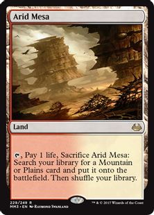 【Foil】《乾燥台地/Arid Mesa》[MM3] 土地R