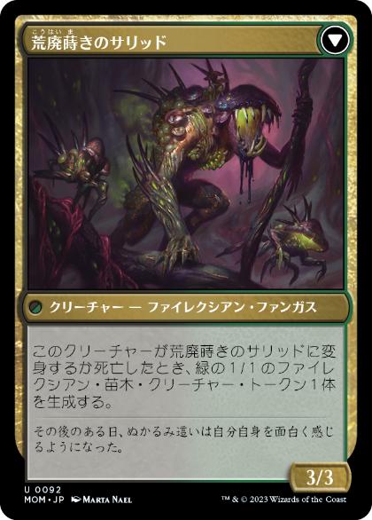 荒廃蒔きのサリッド