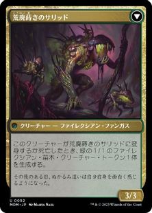 荒廃蒔きのサリッド