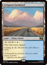 (251)《灌漑農地/Irrigated Farmland》[MSC] 土地R
