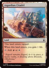 【Foil】(258)《アスガルドの城塞/Asgardian Citadel》[MSH] 土地C