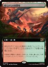 (465)■拡張アート■《燃えがらの林間地/Cinder Glade》[MSC] 土地R