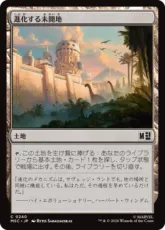 (240)《進化する未開地/Evolving Wilds》[MSC] 土地C