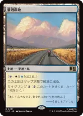 (251)《灌漑農地/Irrigated Farmland》[MSC] 土地R