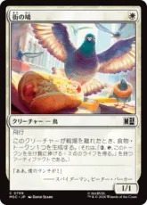 【Foil】(769)《街の鳩/City Pigeon》[MSC] 白C