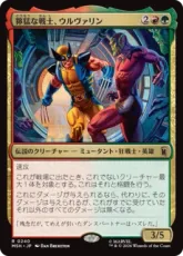 【Foil】(240)《獰猛な戦士、ウルヴァリン/Wolverine, Fierce Fighter》[MSH] 金R