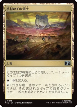 手付かずの領土