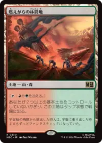 燃えがらの林間地