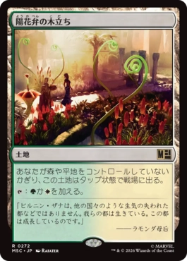 陽花弁の木立ち