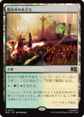 (272)《陽花弁の木立ち/Sunpetal Grove》[MSC] 土地R