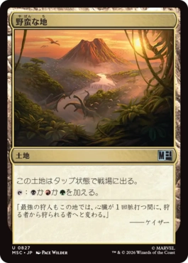 野蛮な地