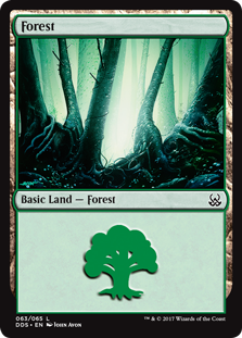(063)《森/Forest》[MvM/DDS] 土地