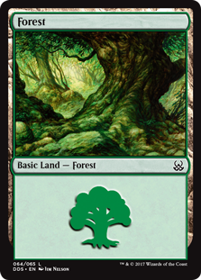 (064)《森/Forest》[MvM/DDS] 土地