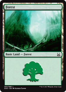 (065)《森/Forest》[MvM/DDS] 土地