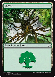 (034)《森/Forest》[NvO/DDR] 土地
