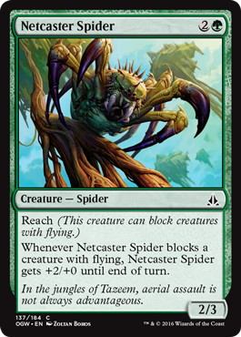 《網投げ蜘蛛/Netcaster Spider》[OGW] 緑C