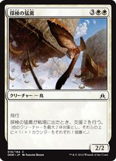 《探検の猛禽/Expedition Raptor》[OGW] 白C