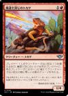 魔道士封じのトカゲ