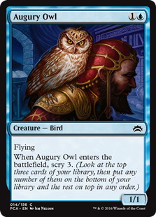 《占いフクロウ/Augury Owl》[PCA] 青C