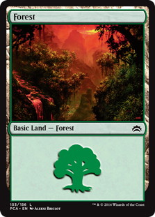 (153)《森/Forest》[PCA] 土地