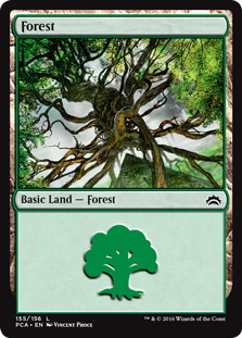 (155)《森/Forest》[PCA] 土地