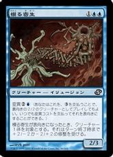 【Foil】《模る寄生/Shaper Parasite》[PLC] 青C