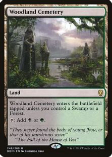 【Foil】(248)■プロモスタンプ付■《森林の墓地/Woodland Cemetery》[Pスタンプ_DOM] 土地R