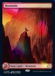 【Foil】■フルアート■《山/Mountain》(Illus.Jorge Jacinto)[ジャッジ褒賞] 土地