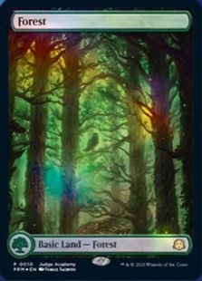 Foil】□フルアート□《森/Forest》(Illus.Jorge Jacinto)[ジャッジ 