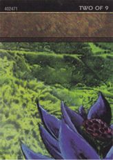 Black Lotus (8 of 9) (Ultra PRO Puzzle Quest) [Media Promos] main image 1