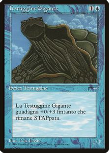 《象亀/Giant Tortoise》[RIN] 青C