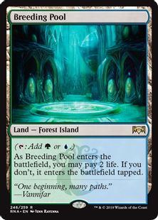 Foil】《繁殖池/Breeding Pool》[RNA] 土地R | 日本最大級 MTG通販 