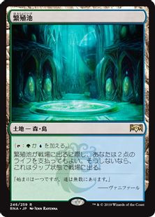 《繁殖池/Breeding Pool》[RNA] 土地R
