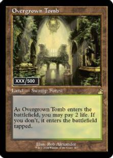 【ダブルレインボウ・Foil】(407)■旧枠■《草むした墓/Overgrown Tomb》(シリアル入り)[RVR] 土地R