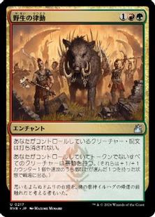 (217)《野生の律動/Rhythm of the Wild》[RVR] 金U