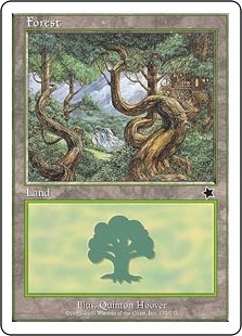 (170)《森/Forest》[S99] 土地