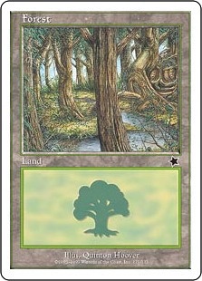 (171)《森/Forest》[S99] 土地