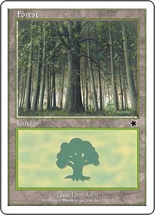 (172)《森/Forest》[S99] 土地