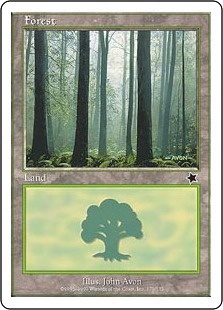 (173)《森/Forest》[S99] 土地