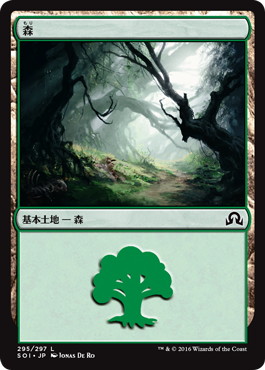 (295)《森/Forest》[SOI] 土地