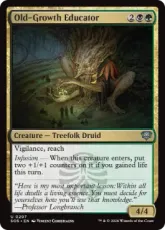 【Foil】(207)《古株の教育者/Old-Growth Educator》[SOS] 金U