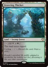 (371)《ただれた茂み/Festering Thicket》[SOC] 土地R