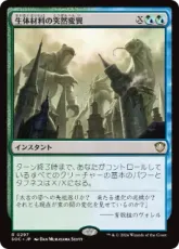 (297)《生体材料の突然変異/Biomass Mutation》[SOC] 金R