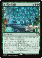 (040)《格子窓の図書館/Lattice Library》[SOC] 緑R