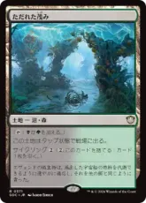 (371)《ただれた茂み/Festering Thicket》[SOC] 土地R