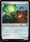 機能不全ダニ