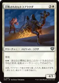 召喚されたヒトコブラクダ